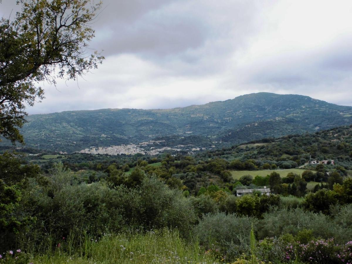 Agriturismo Vigna De' Luceri Loceri Buitenkant foto