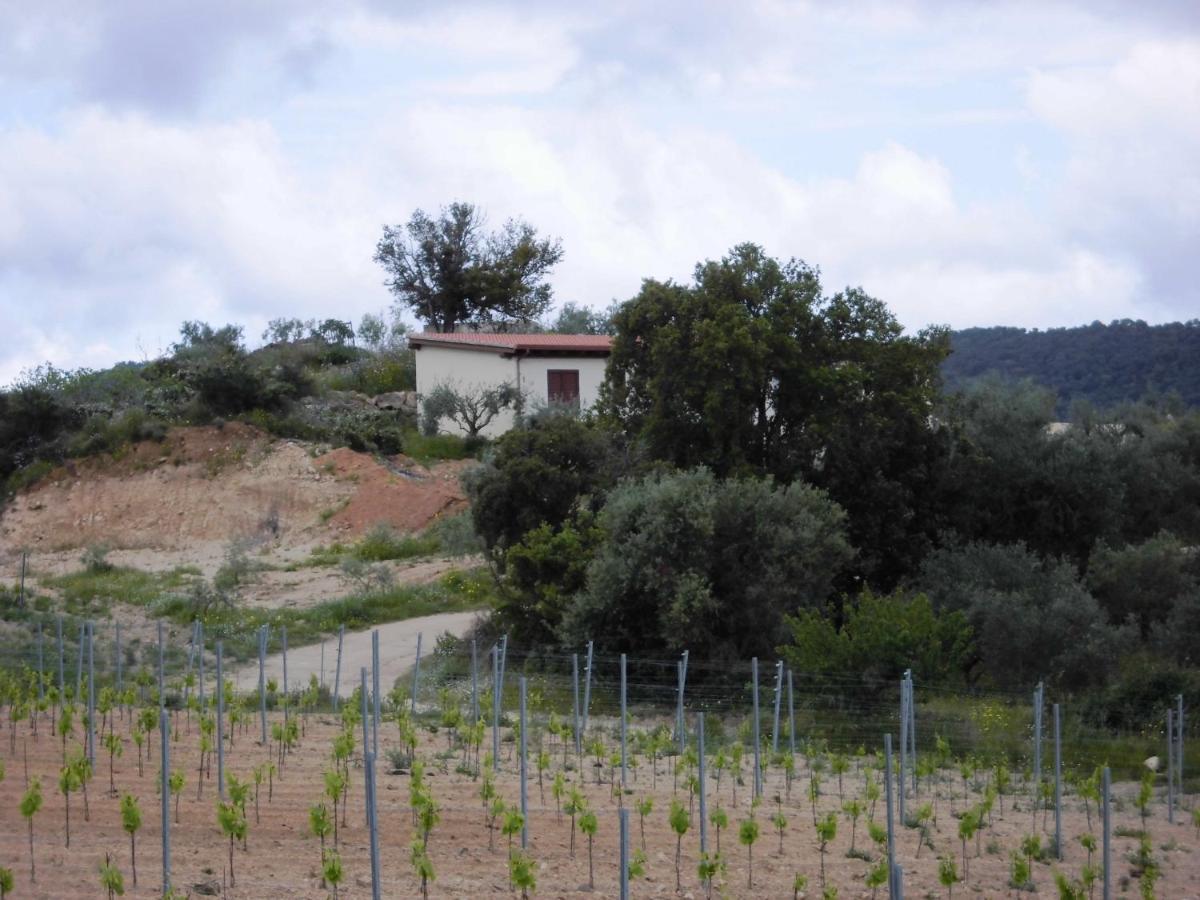 Agriturismo Vigna De' Luceri Loceri Buitenkant foto